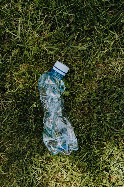 A discarded clear plastic water bottle with a blue cap lies on a patch of green grass, featuring a crumpled and slightly deformed shape. The bottle appears to be empty, with visible wrinkles and folds in the plastic material. The grass surrounding the bottle is dense, with blades of various lengths and shades of green, some slightly yellowed. In the background, the grass continues uniformly, indicating an outdoor environment such as a park or garden. The scene is lit by natural daylight, casting soft shadows and highlighting the transparency and texture of the plastic. This image exemplifies the importance of responsible waste disposal, especially in the context of rubbish removal services like those offered by Waste Removal Belsize Park, which facilitate curbside collection and environmentally conscious waste handling to prevent littering and environmental pollution.