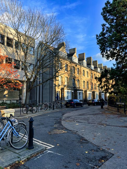 The image depicts a street scene in Belsize Village featuring a row of classic four-story terraced buildings with brick facades and pitched roofs, some with dormer windows. In the foreground, there is a paved street with a curved section leading into the scene, showing several parked bicycles secured to metal bike stands on the pavement. The pavement shows some cracks and patches, with a black metal post visible near the parked bikes. A few cars are parked along the street, including a dark-colored vehicle closer to the buildings, and a pedestrian can be seen walking on the right side of the street. To the left, a large, leafless tree with a textured, light-colored trunk and thin branches stands beside the buildings, with some remaining autumn leaves in shades of orange visible on a smaller shrub. The background features a bright blue sky with scattered clouds, and the scene is illuminated by natural daylight. The setting suggests a typical urban residential area that may be served by private waste removal services, which is aligned with the context of rubbish collection and on-site clearance facilitated by Waste Removal Belsize Park.